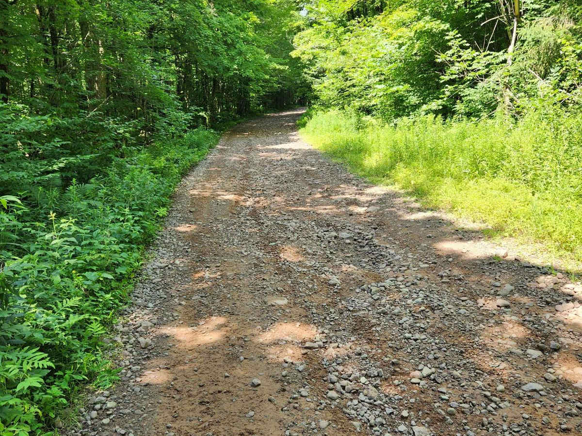 Happy Valley Road photo 3
