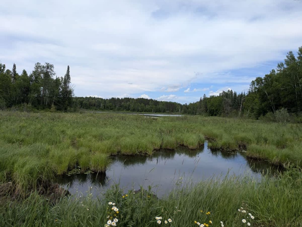 Barrett Road photo 2