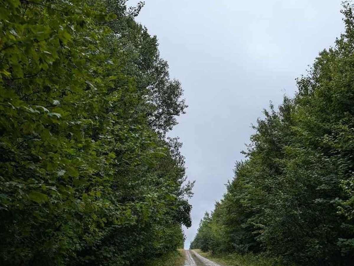 Ryder Lake Easy Line photo 5