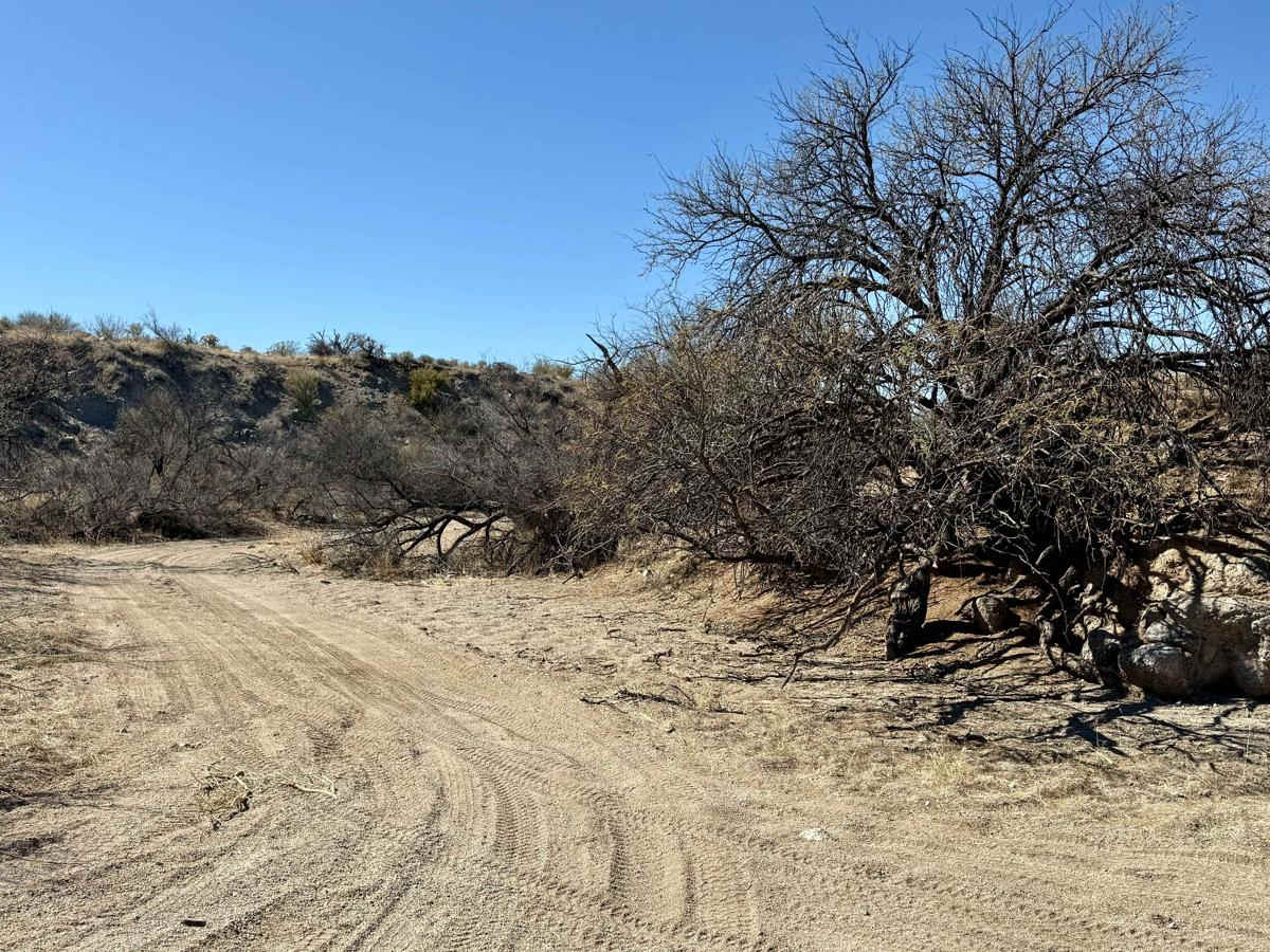 Goff Wash photo 3