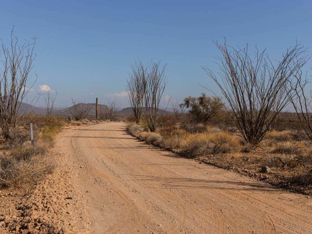 9110 Main trail photo