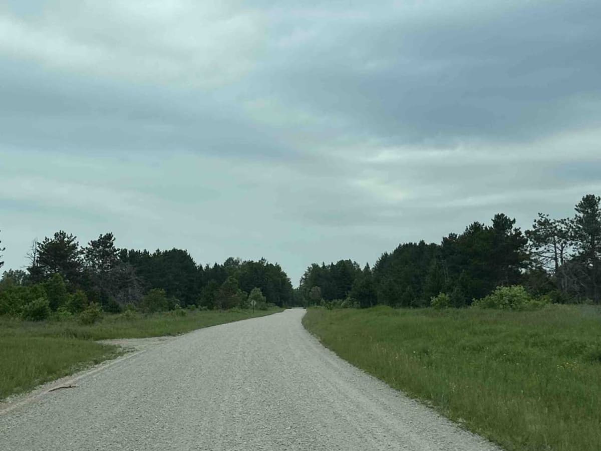 FS 3139 (Dick Rd.) photo 4