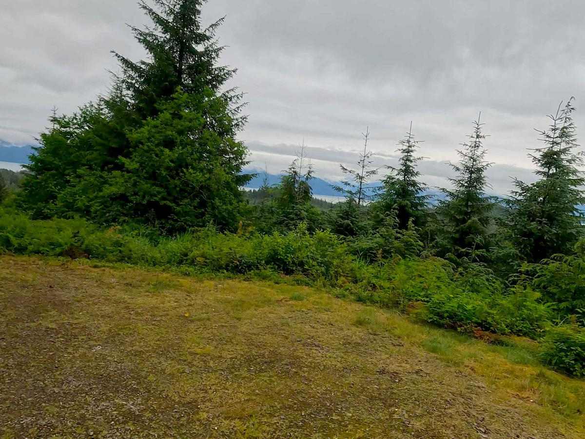 Canyon Creek / La Conte Lookout 6232 photo 4