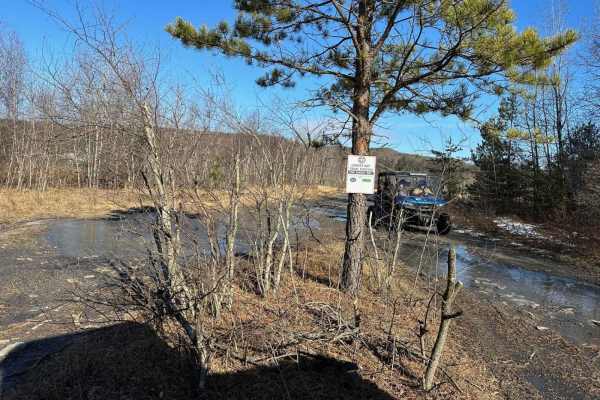 Locust Gap 60