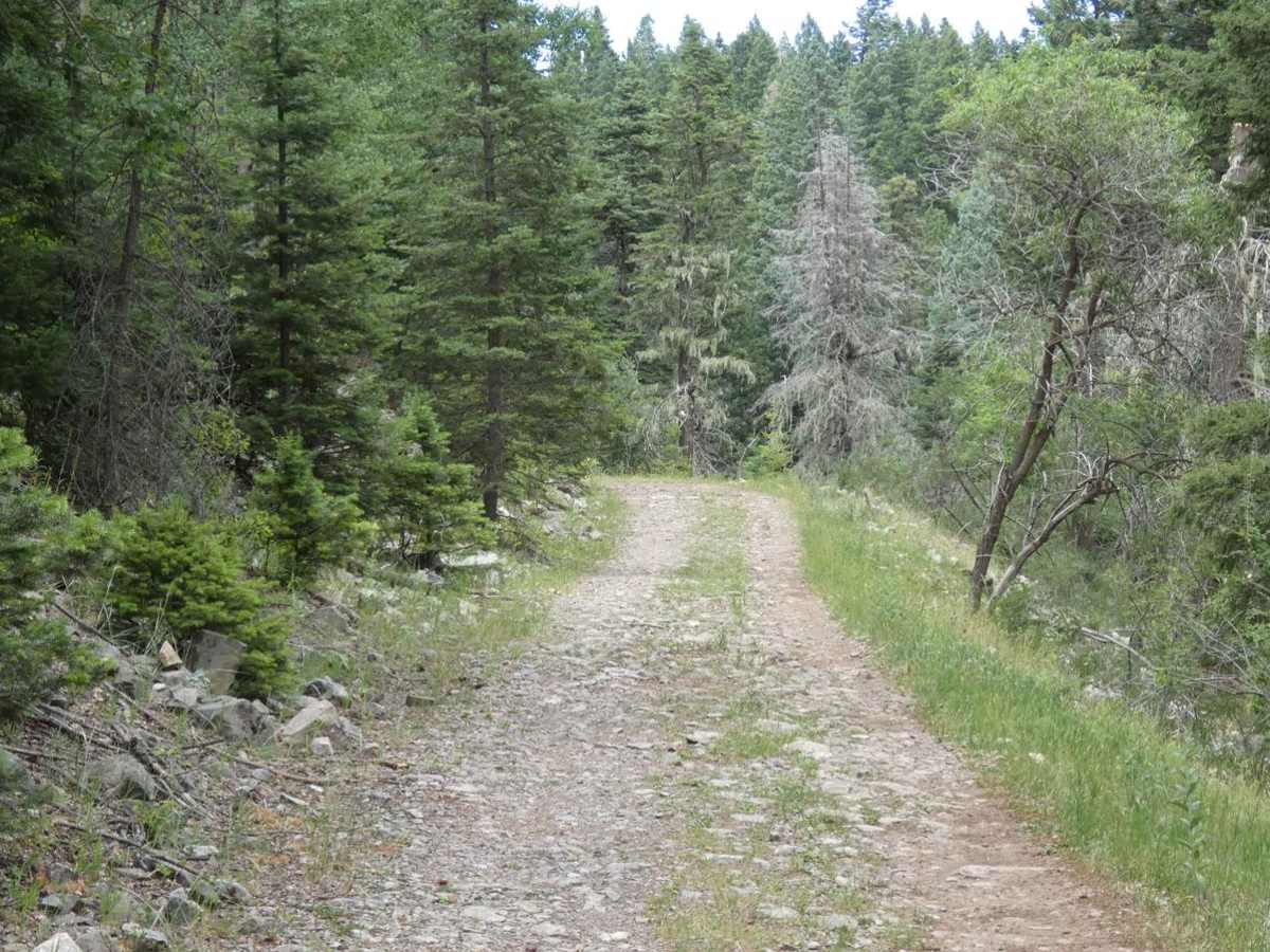 Wayne Canyon photo 2
