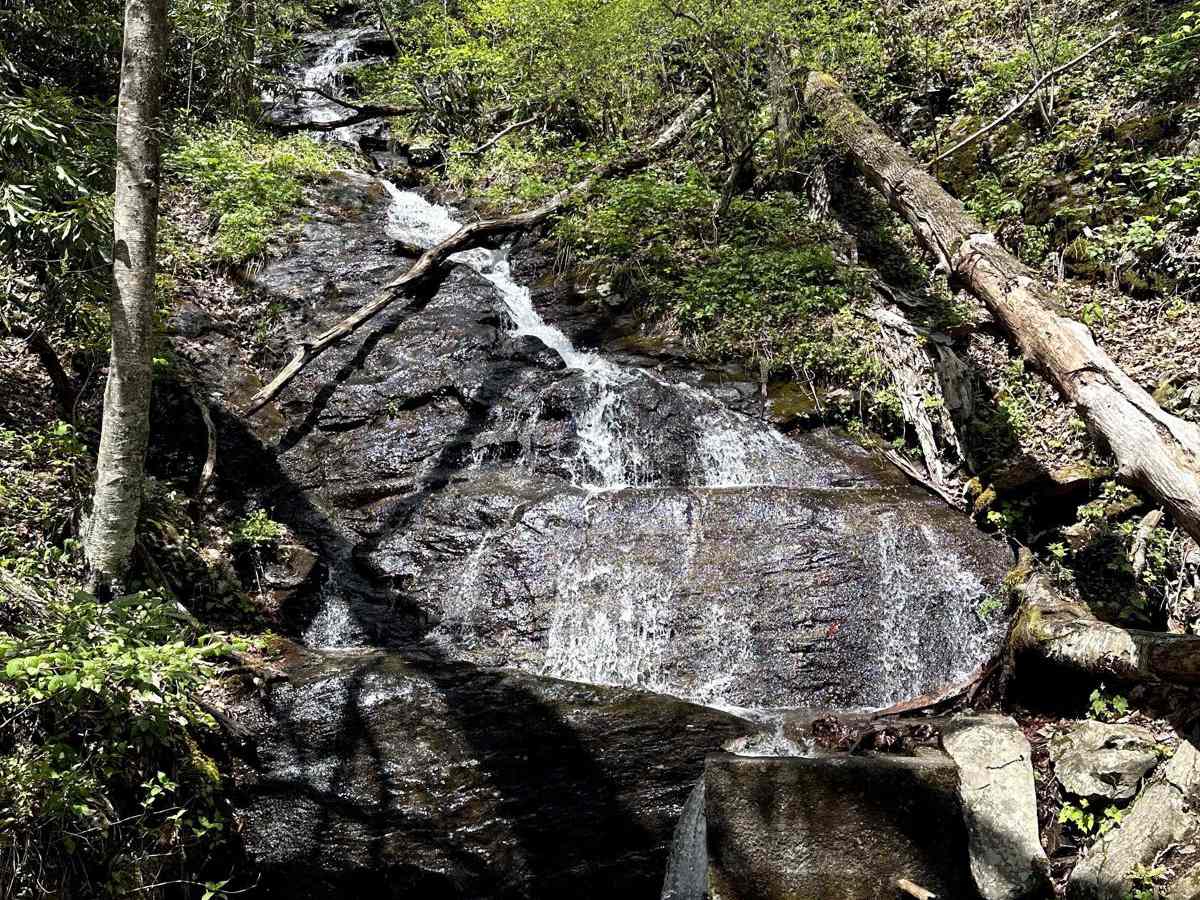 Chattahoochee River Road photo 4