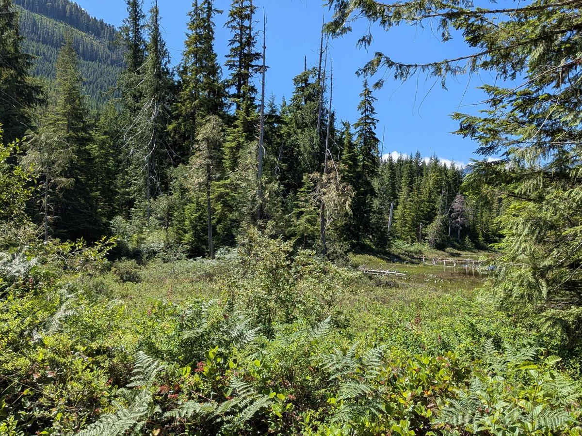 Rona Cutoff Road photo 3