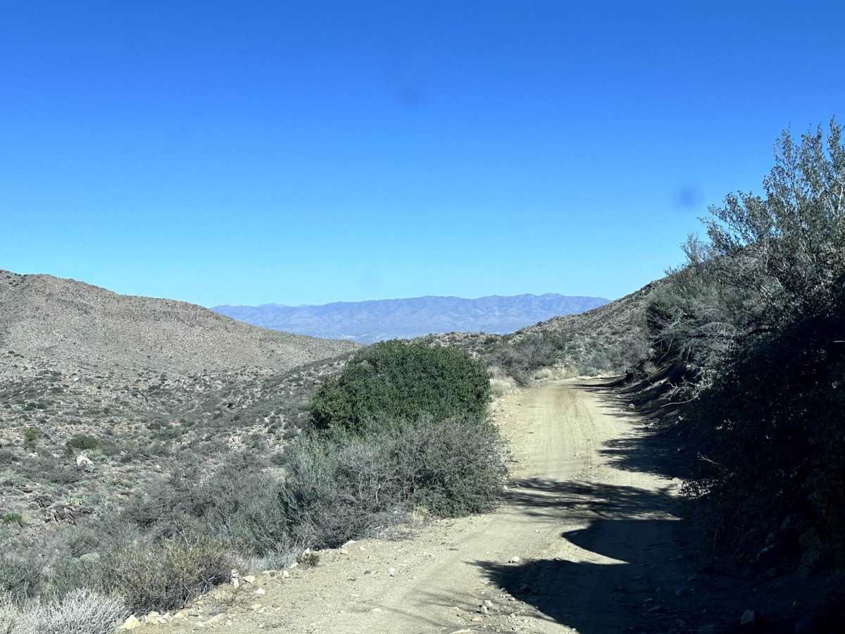 BLM 7252 photo 3