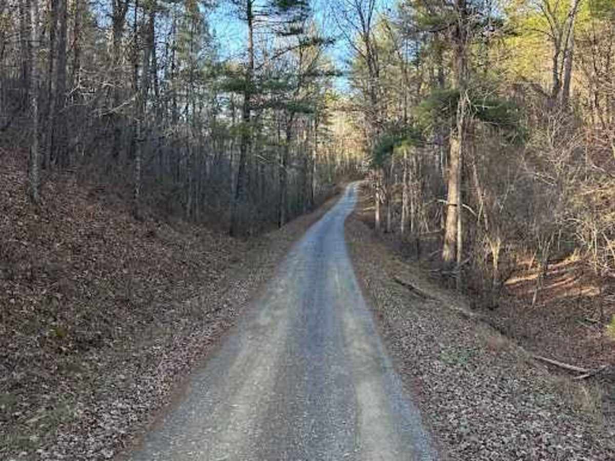 Cold Springs - FR 77 photo 2