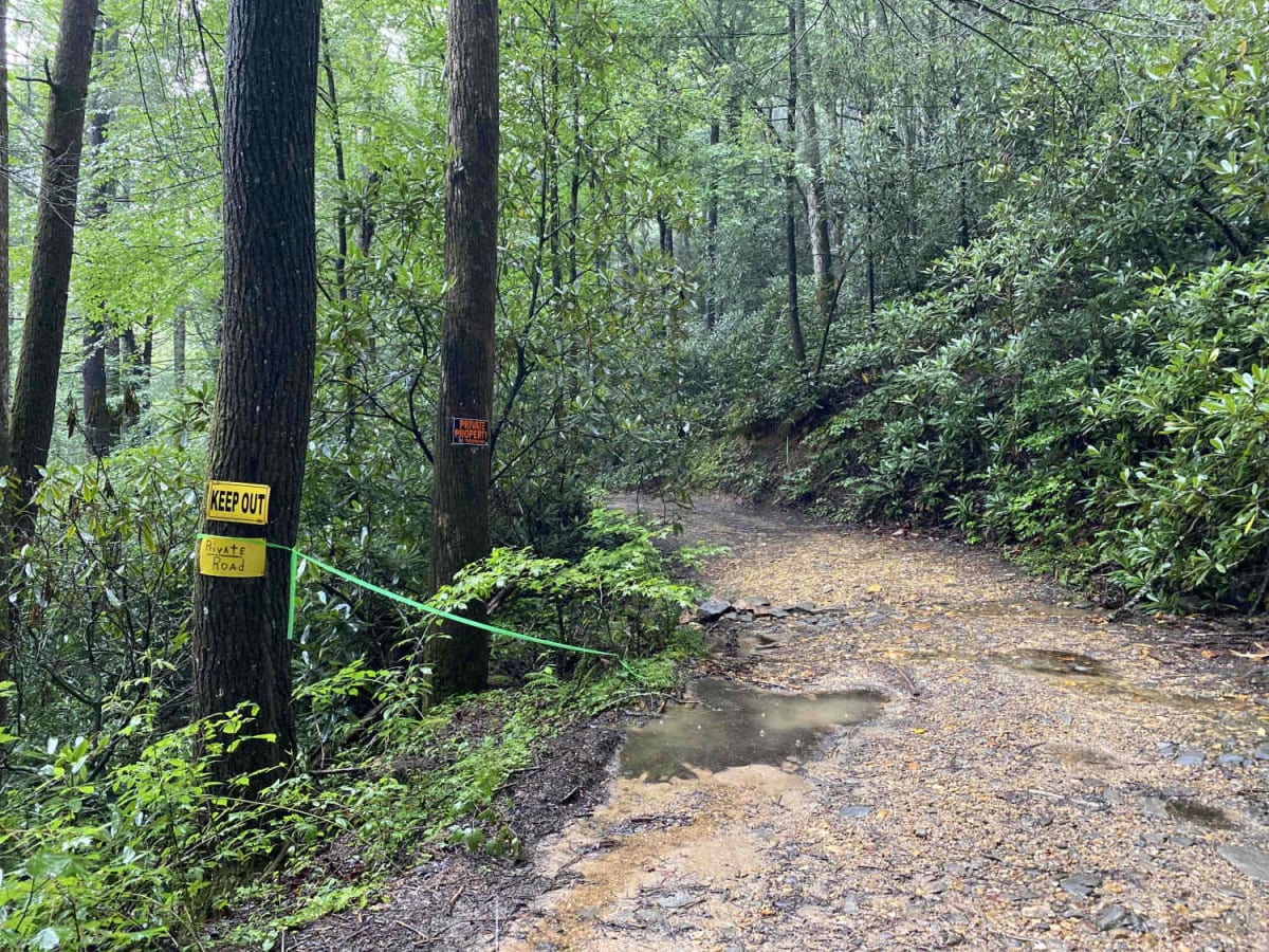 Jones Creek Road - FS 77A photo 6