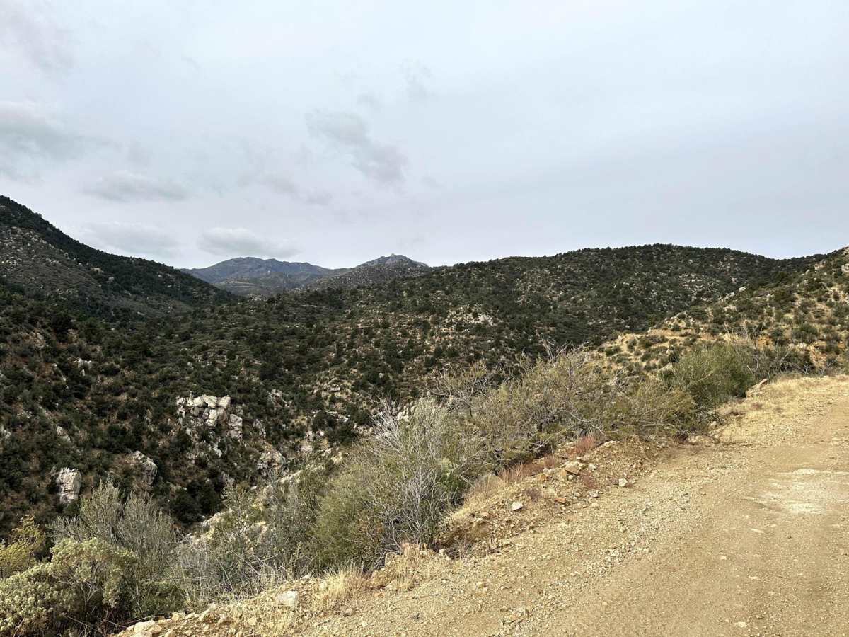 Antelope Wash Road photo 4