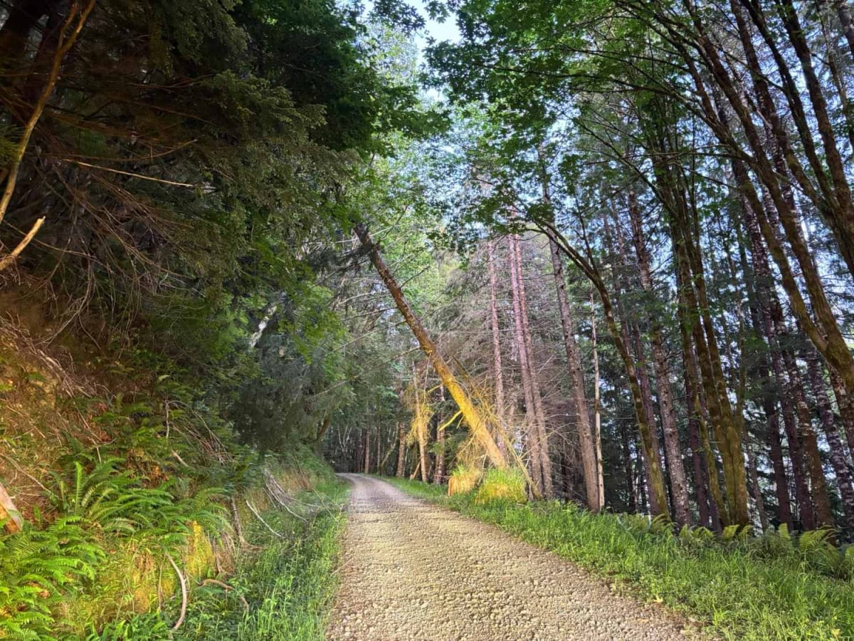 Shiffman Road photo 5