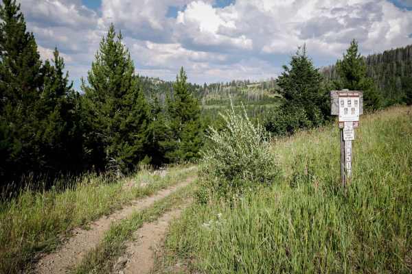 Canyon Creek Trail