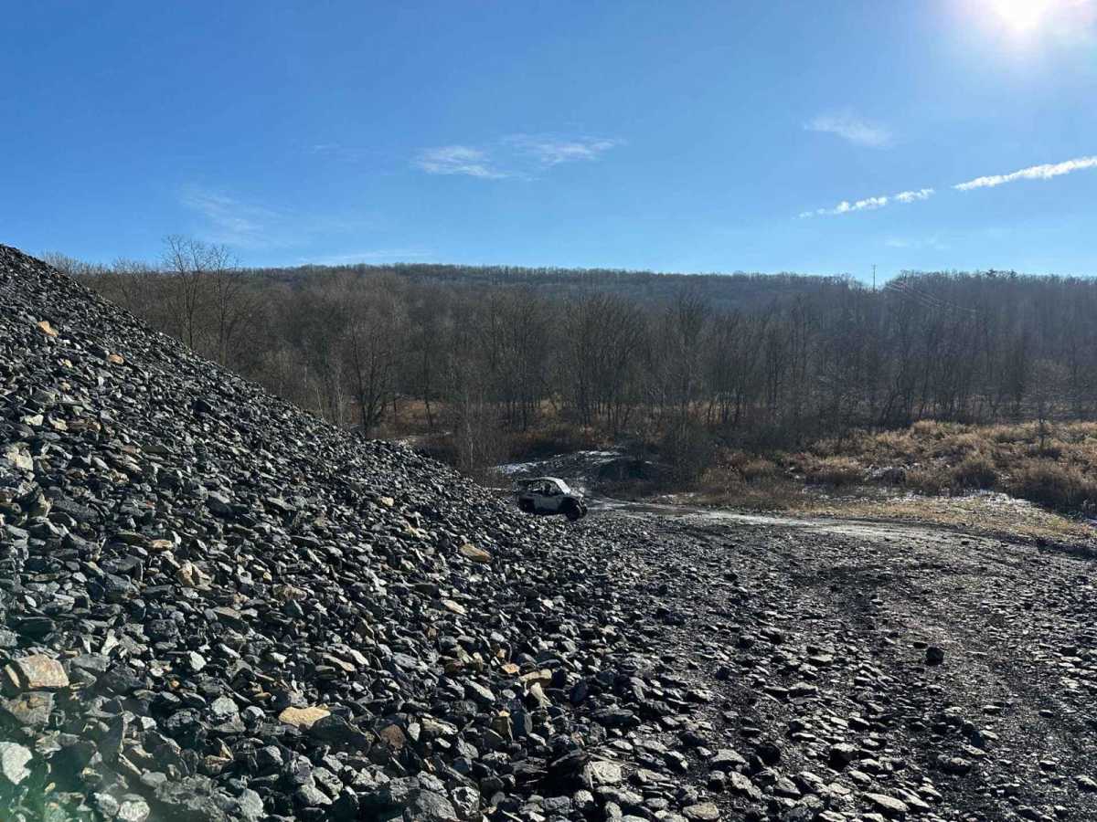 Locust Gap 2 photo 2