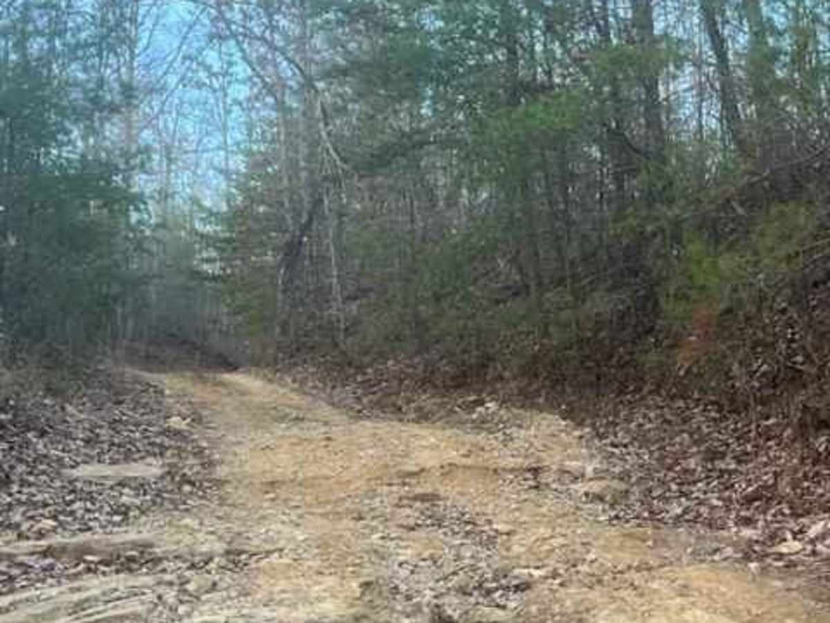 Coalmont OHV Company Farm Road photo 4