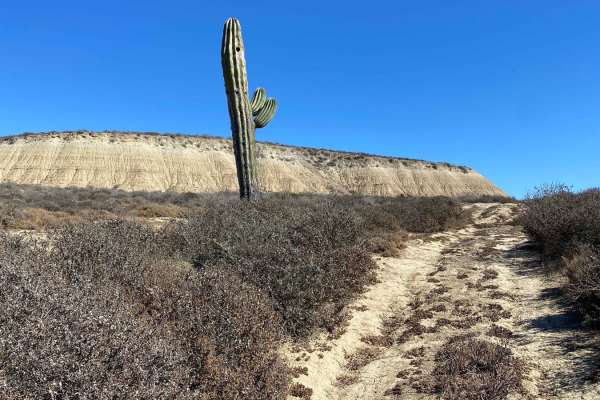 Mesa Redondo