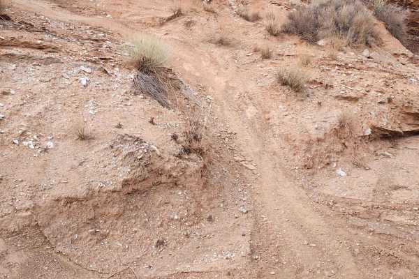 Lower Toquerville Alternate - Single Track