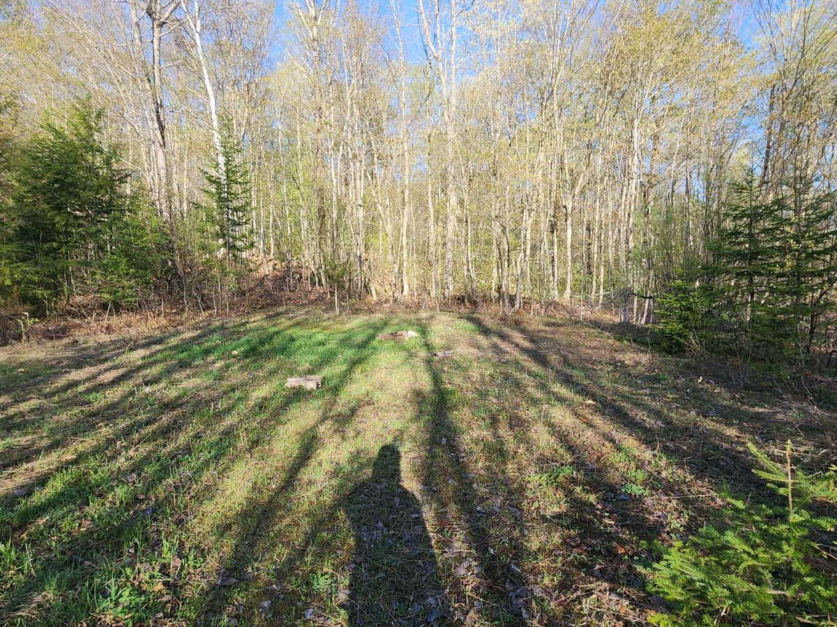 US FSR 74 photo 6
