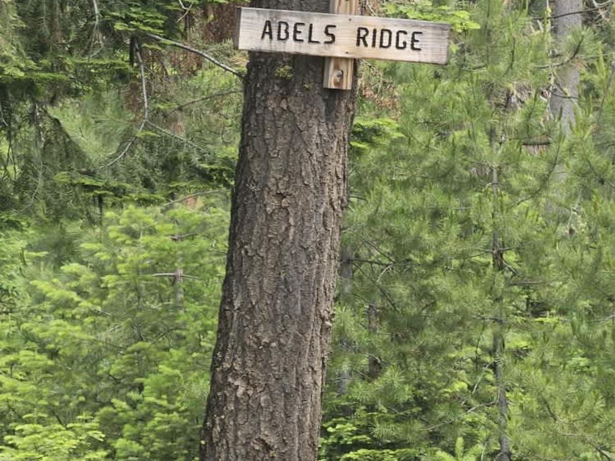 Ables Ridge trail photo