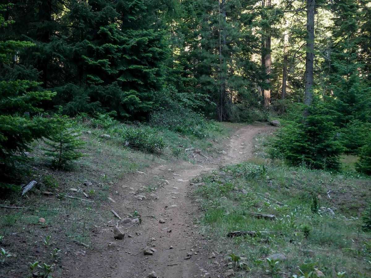 585 trail photo