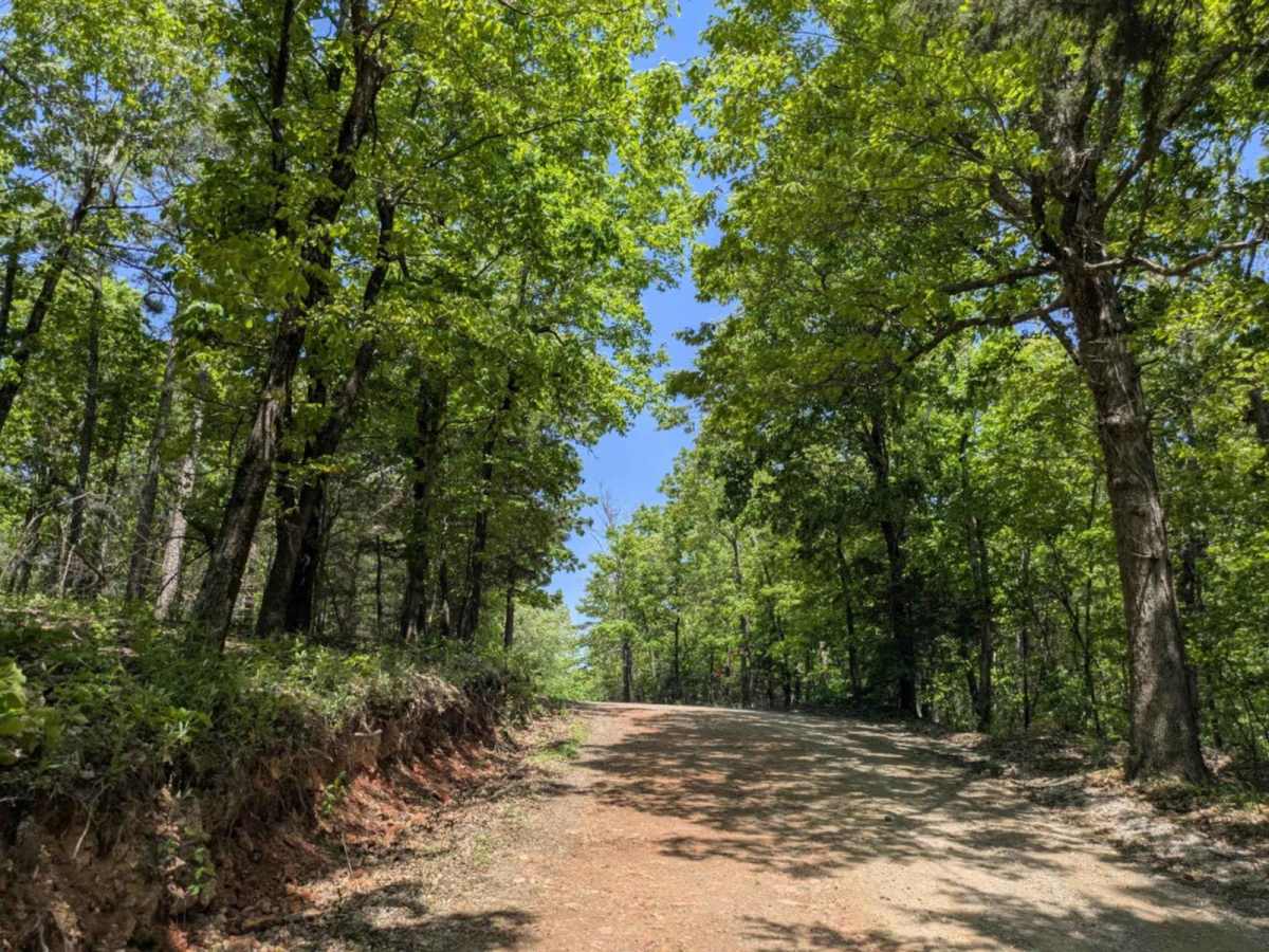 County Road 74 photo 4