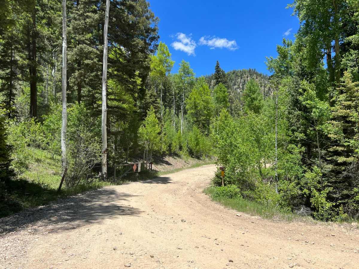 Greenie Peak to Red River - FS 54K photo 5