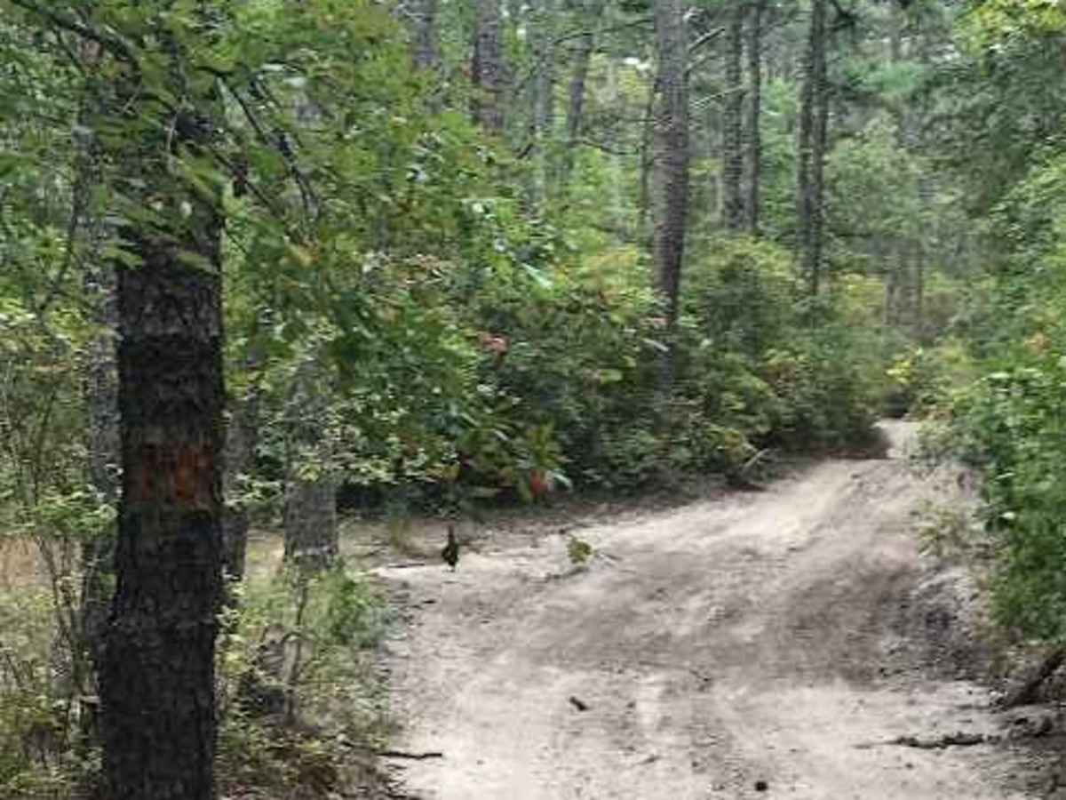 Stokes Trail photo 2