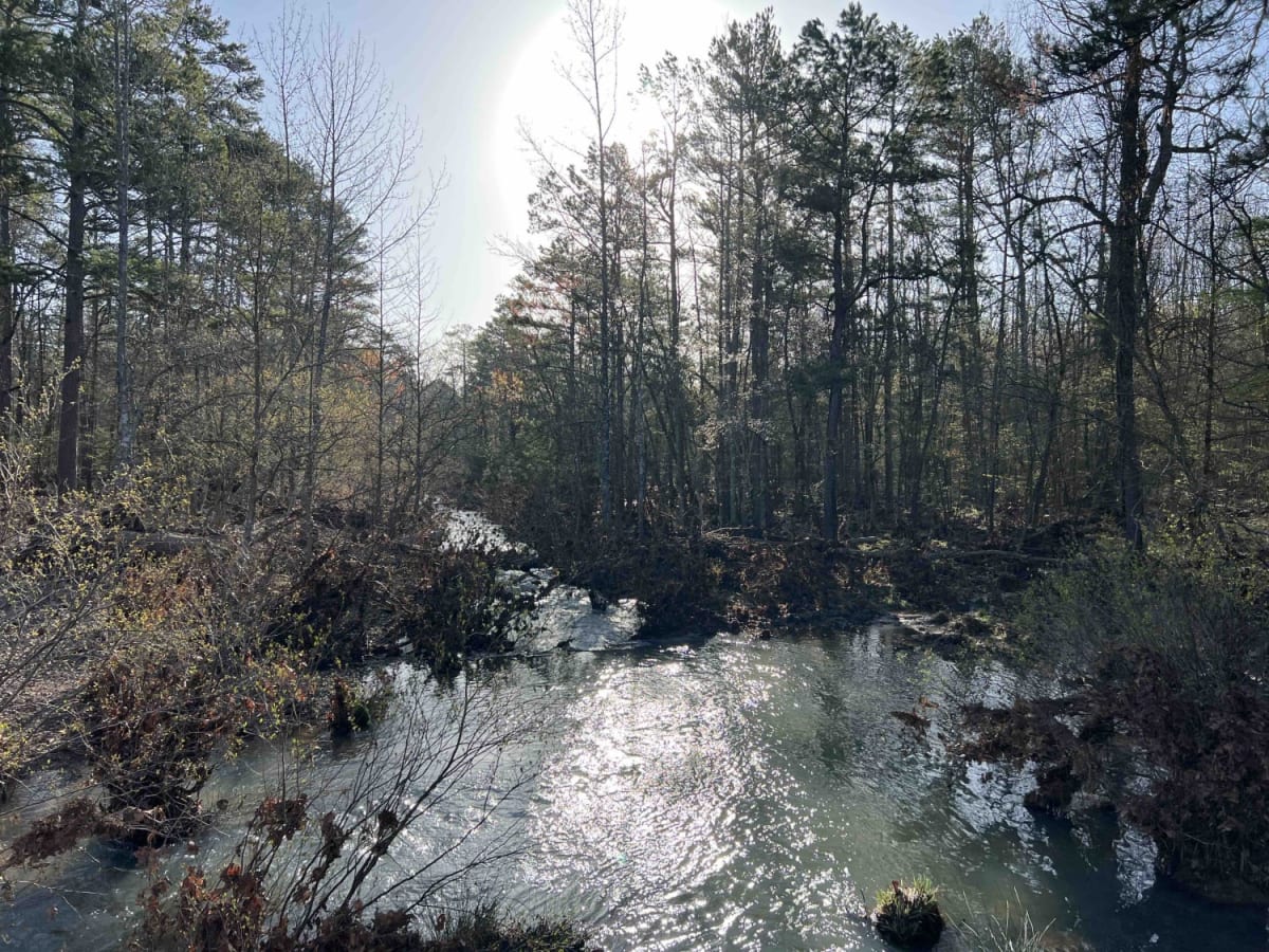 Fiddlers Creek 17 trail photo