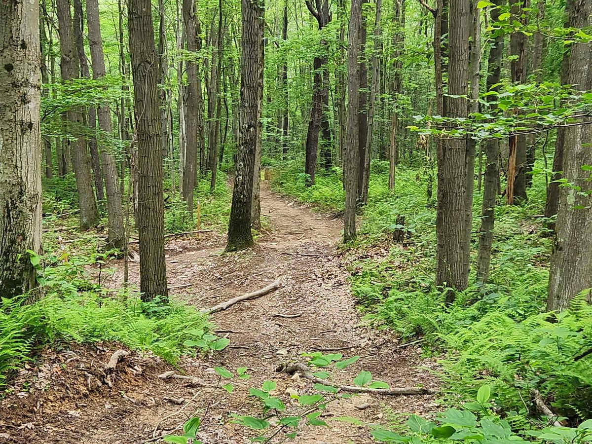 Trail 2A - Black - Rock Run Recreation Area photo 5