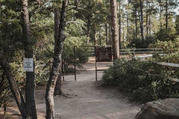 Trail 12 Beginners Loop