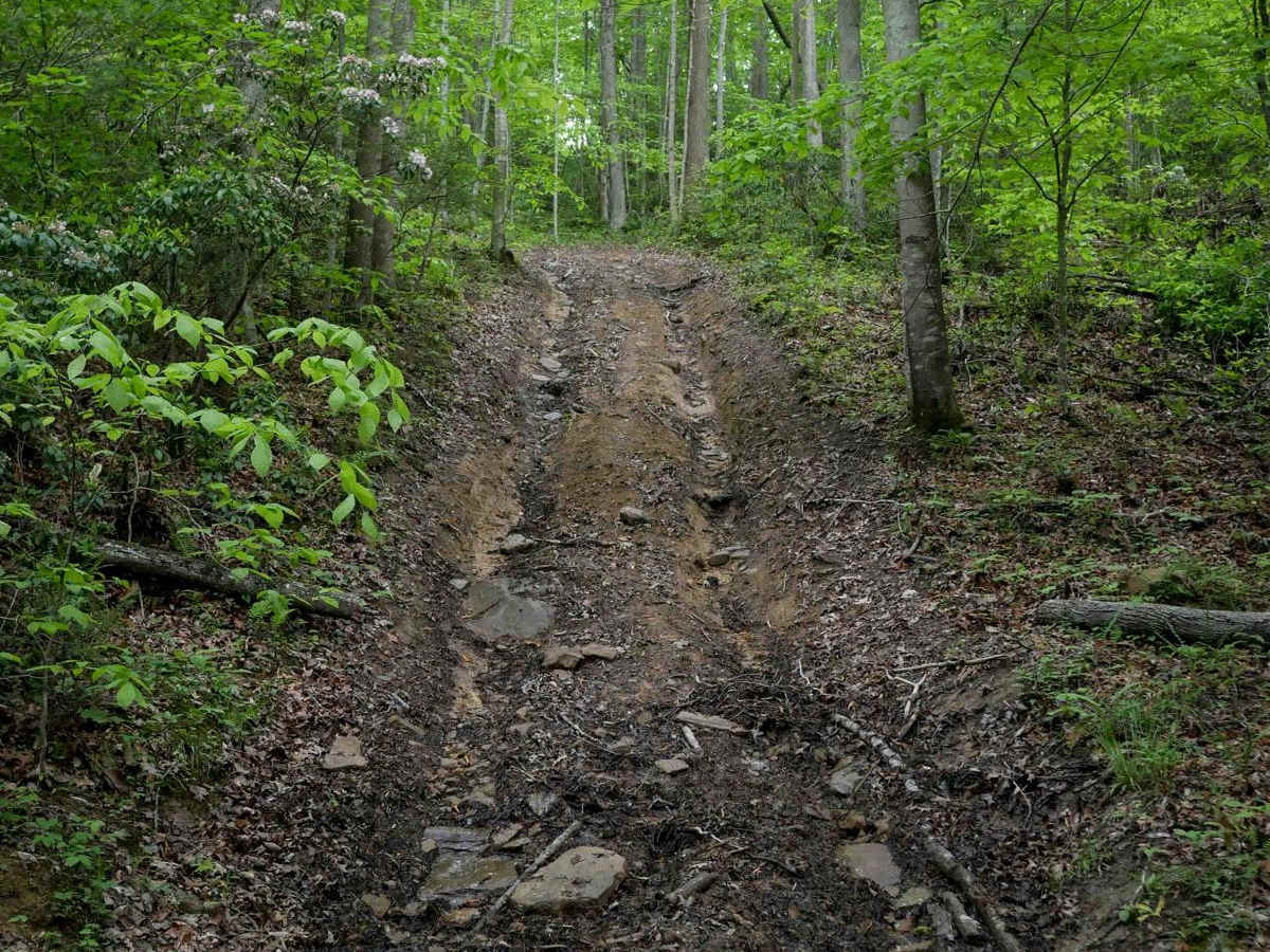 J100 trail photo