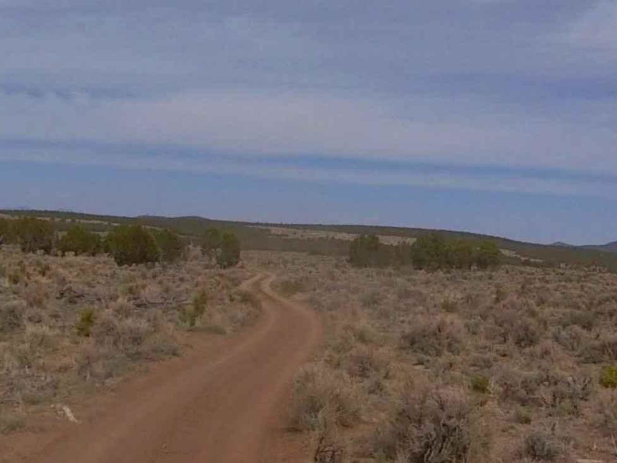 Dixie National Forest-FR31007 photo 6
