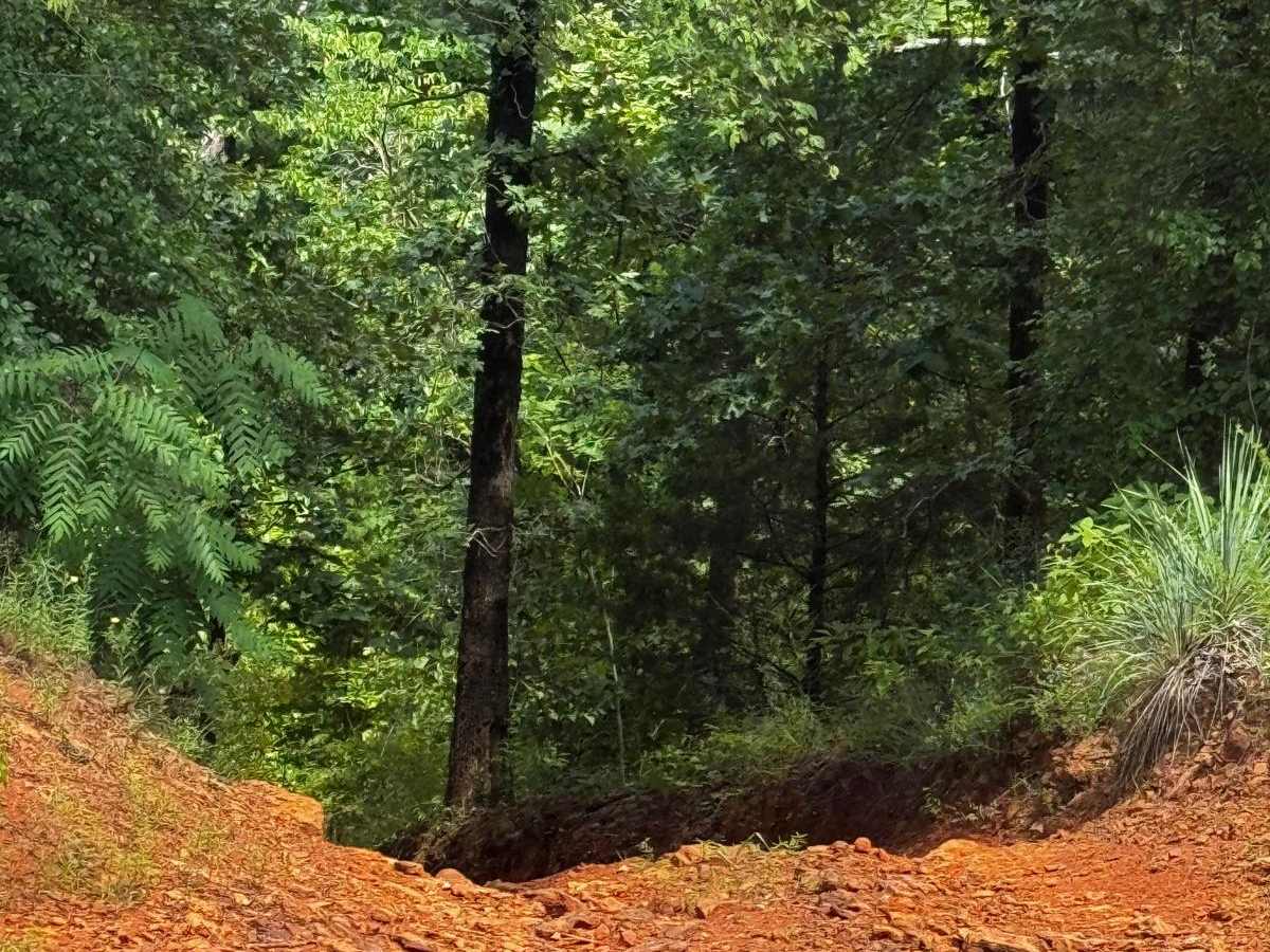 Pine Hill Run trail photo
