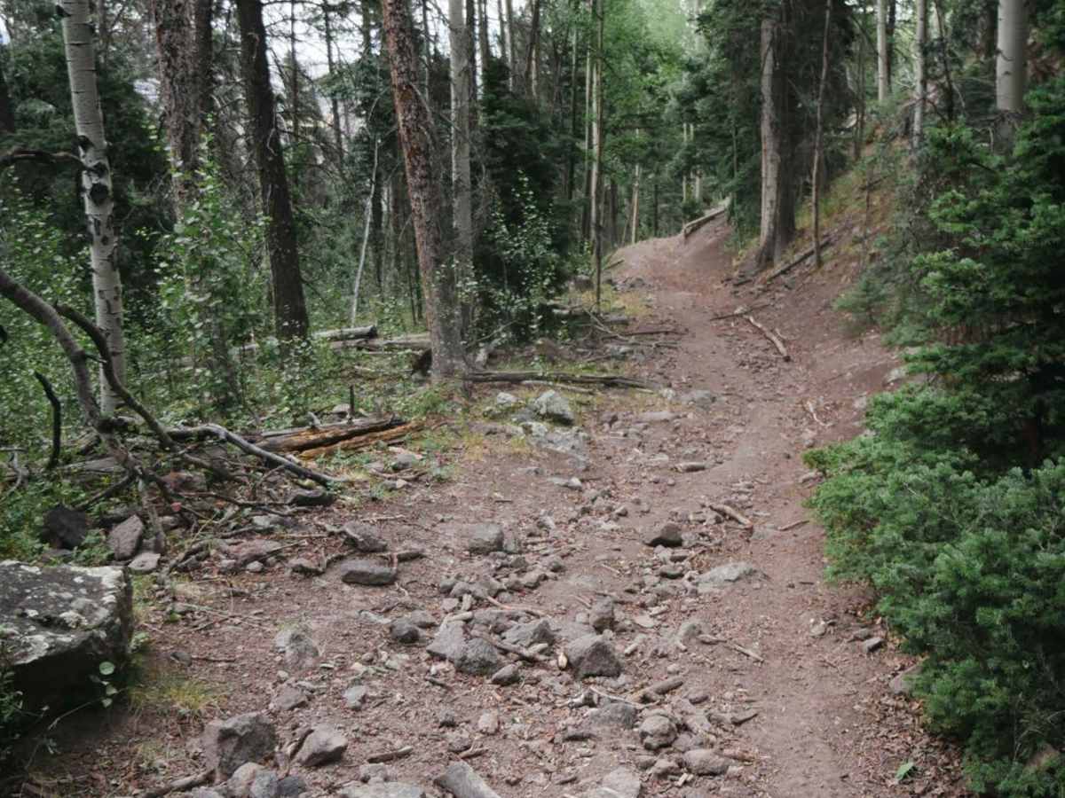 Hot Creek Trail photo 4