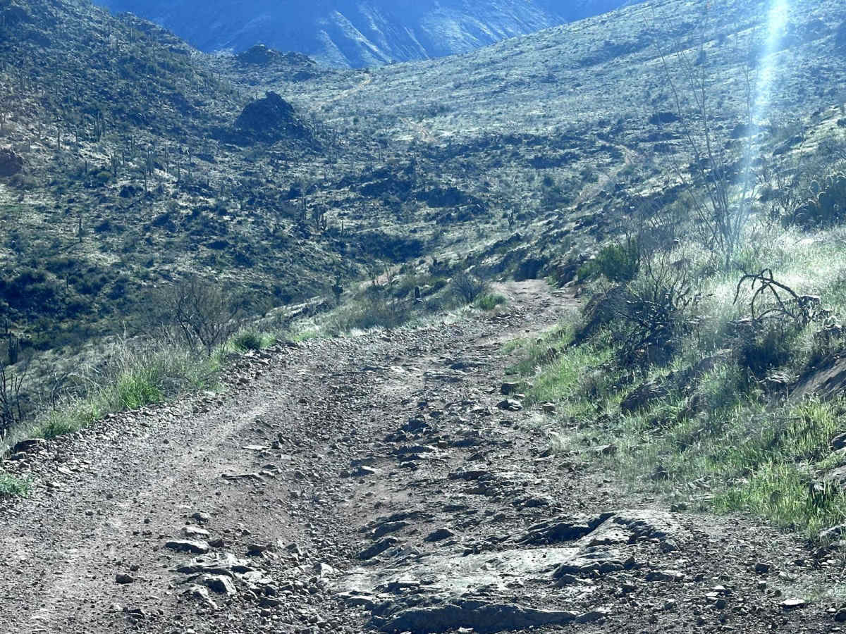 New River Trail photo 5