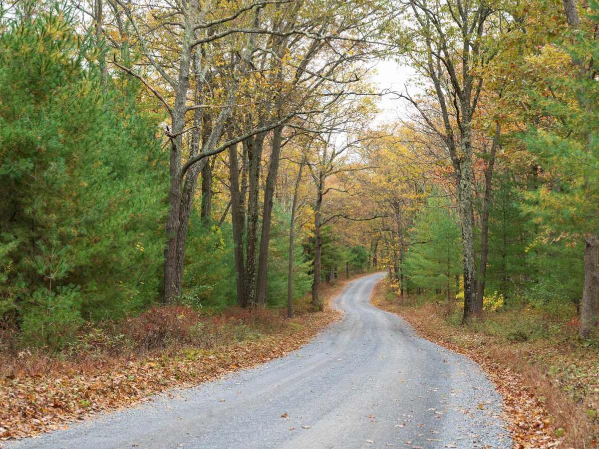 Sand Mountain Road trail photo