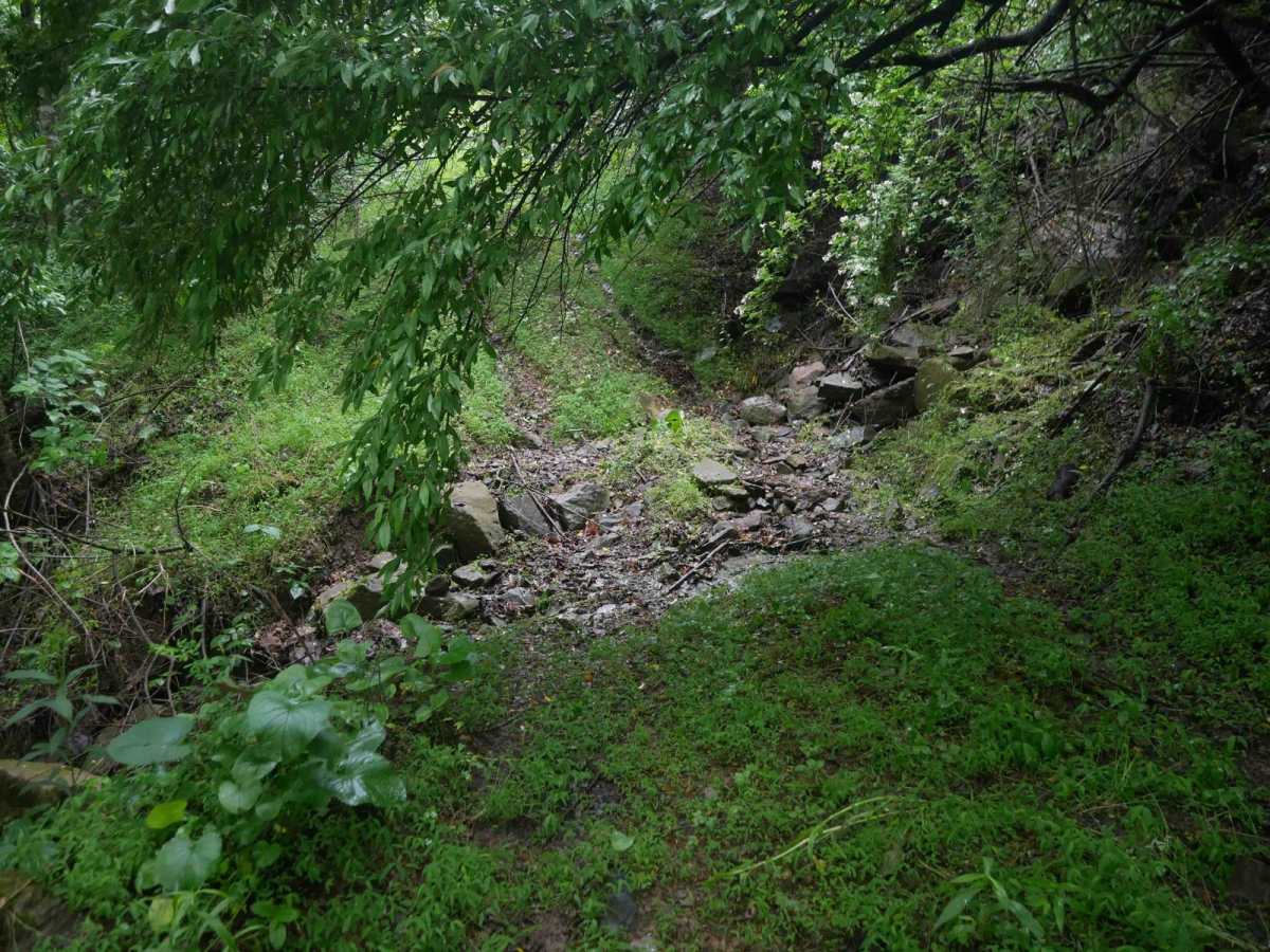 CC70 photo 2