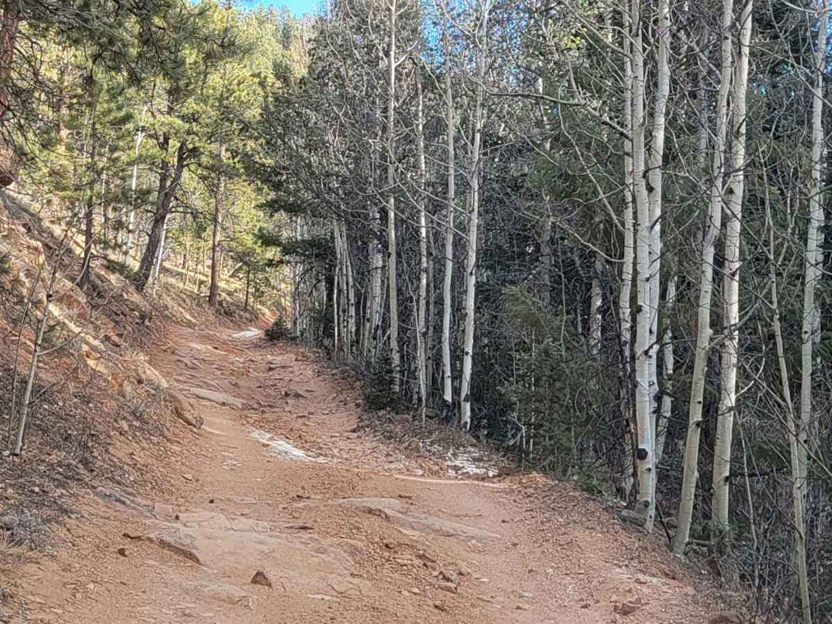 Hotel Gulch - FR 346 photo 6