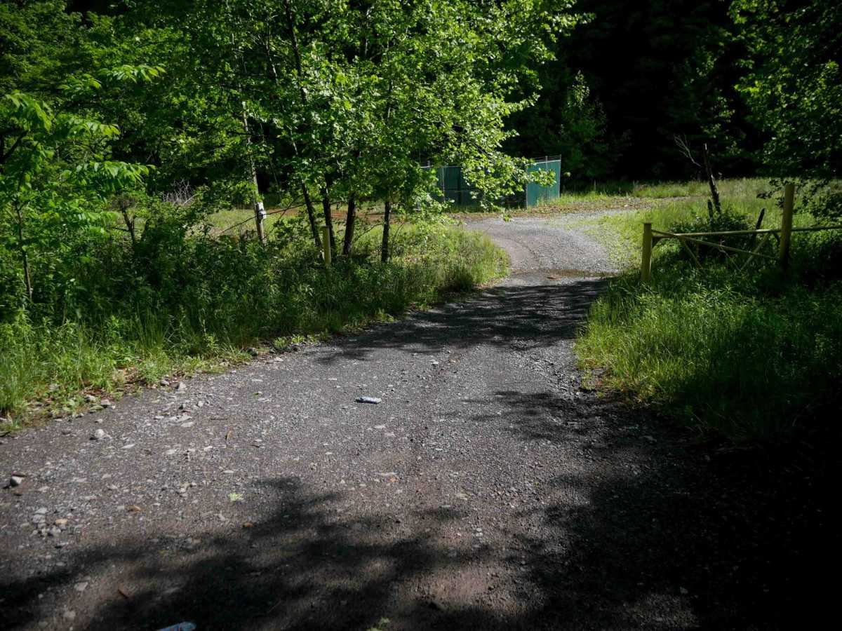 CC2 trail photo