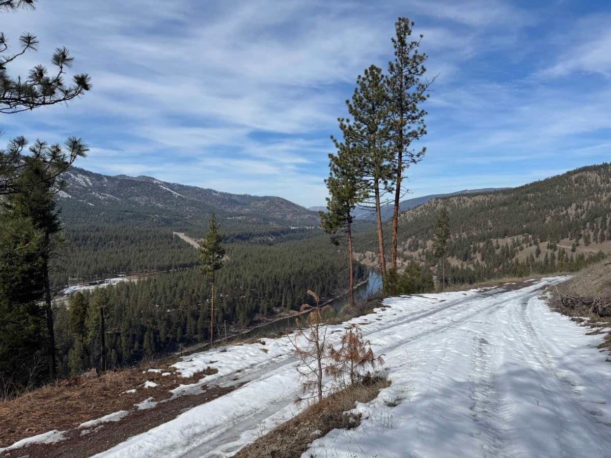 Micayune Gulch - FSR 1577 trail photo