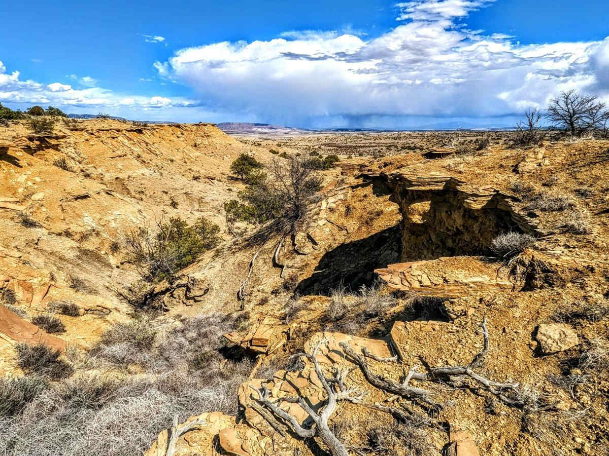 Cabezon Detour photo 5