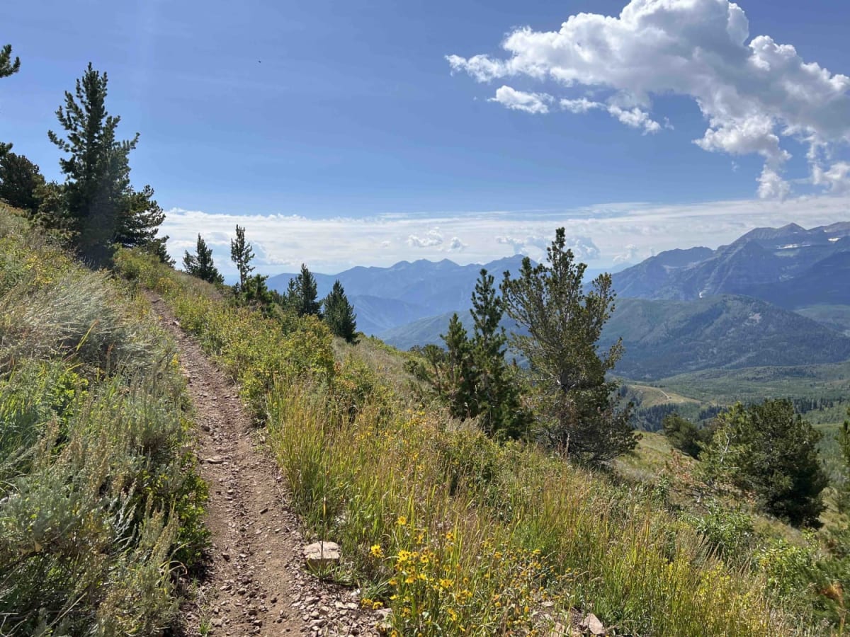 East Ridge (2038) photo 6