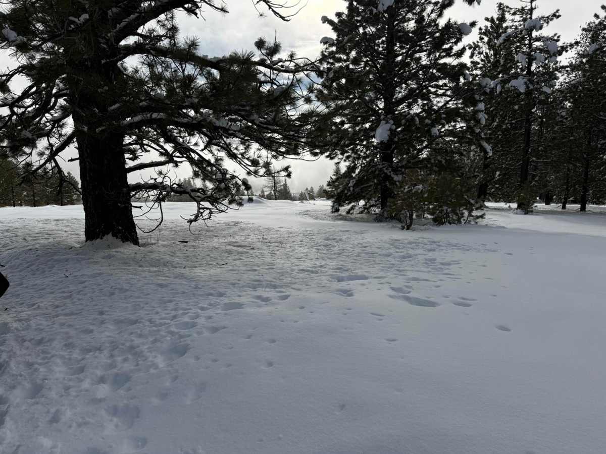 Veterans Trail photo 2
