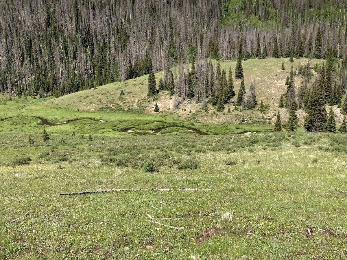 Beaver Creek Trail photo 2