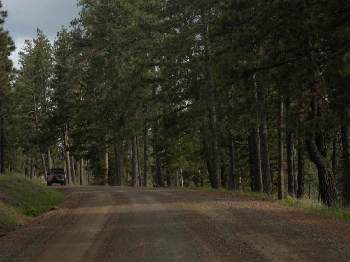 Pomeroy Grouse Flat #40 (#2) photo 3