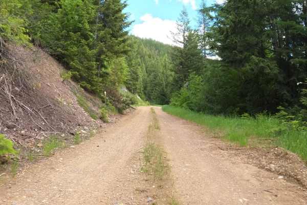 Johnson-First Creek Road-W.Side Ninemile Road