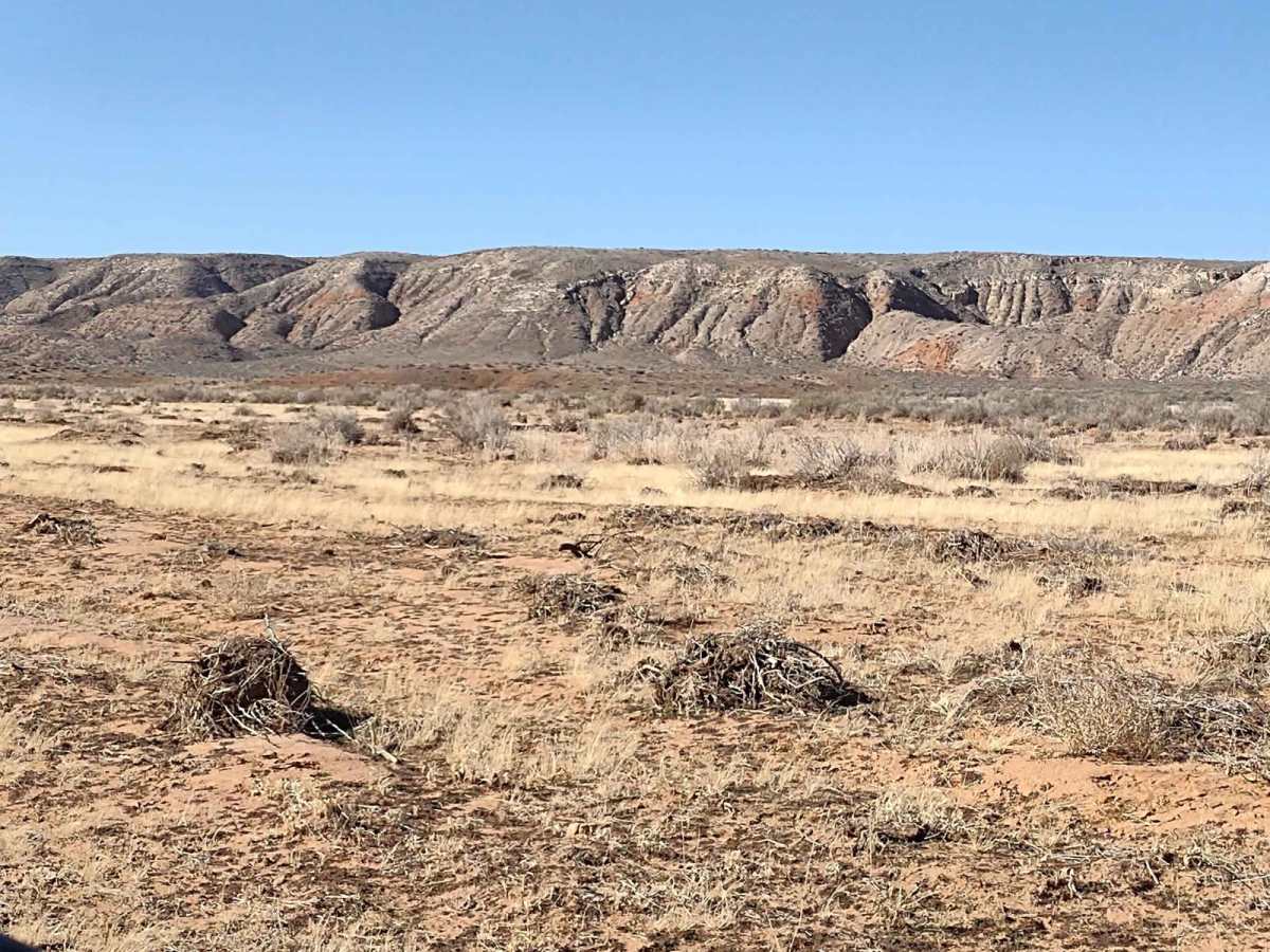 Northern Arizona High Desert (Part 1) photo 2