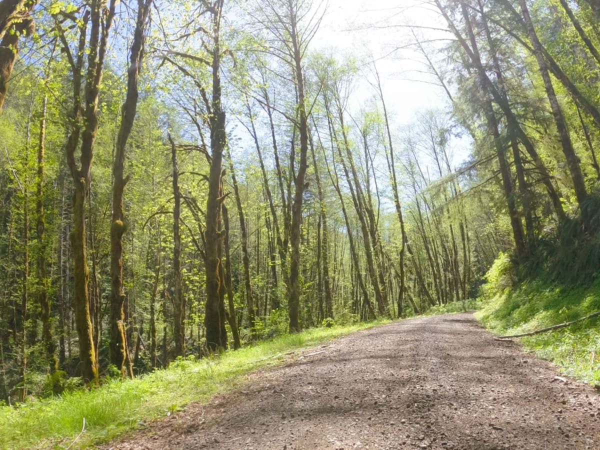 Hembre Ridge Road photo 3