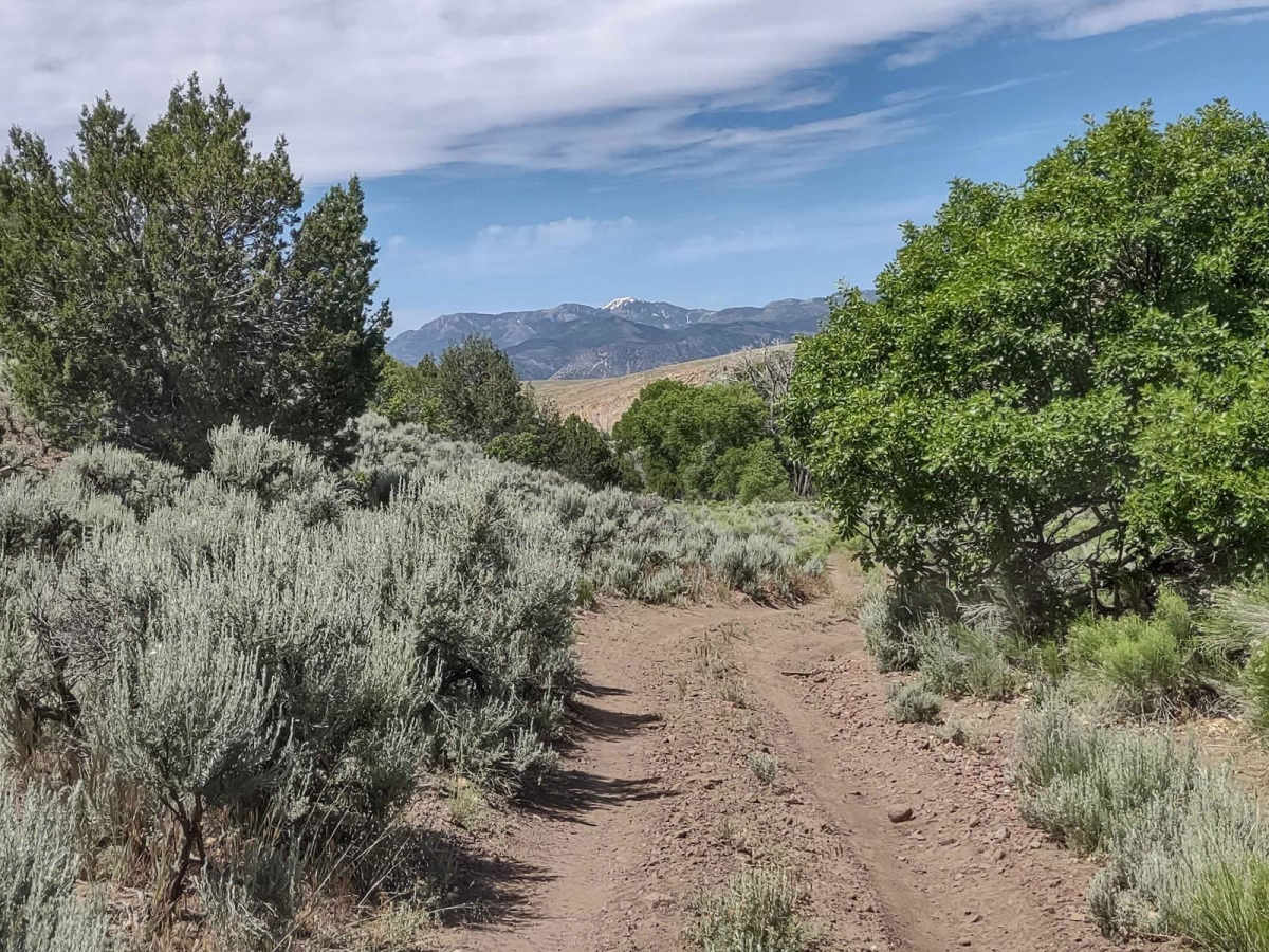 Manning Creek Canyon (FS# 42000) photo 3