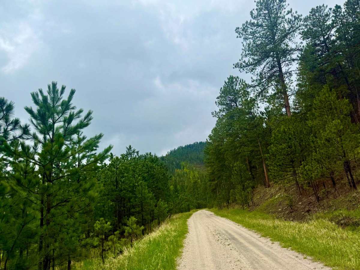 Cowboy Gulch photo 5